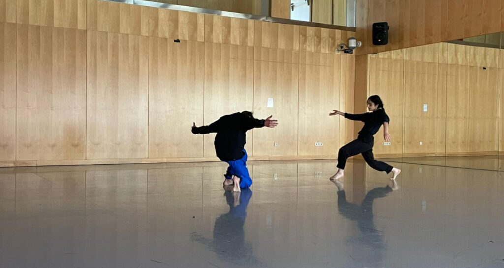 Centro Coreografico Canal